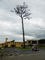 Original Size: 360 x 480, 74KB