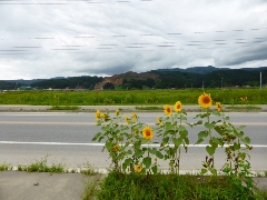 Original Size: 480 x 360, 94KB