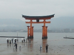 Original Size: 480 x 360, 53KB