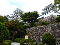 Original Size: 480 x 360, 120KB