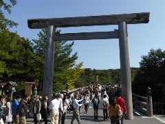 Original Size: 480 x 360, 98KB