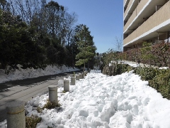 Original Size: 512 x 384, 119KB