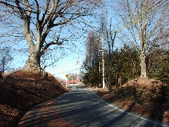 Original Size: 800 x 600, 405KB