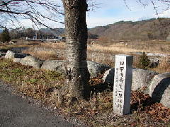 Original Size: 320 x 240, 26KB