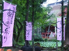 Original Size: 640 x 480, 222KB