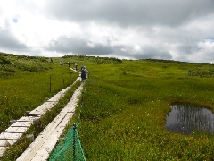 Original Size: 640 x 480, 165KB