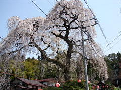 Original Size: 320 x 240, 26KB