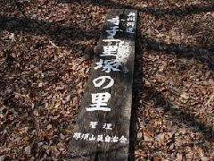 Original Size: 320 x 240, 31KB