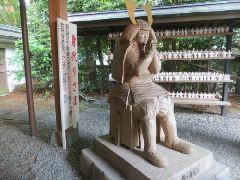 Original Size: 500 x 375, 58KB