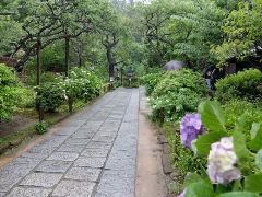 Original Size: 500 x 375, 64KB