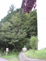 �n���ϐ�����