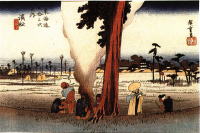 �L�d��|�l��