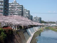 ������̍�����