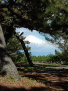 �O�ۂ̏�������̕x�m